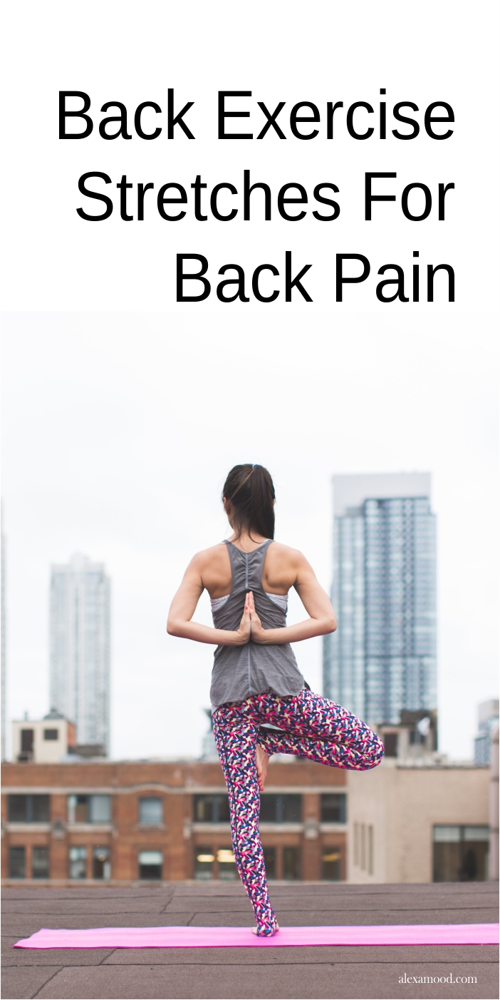 Back Exercise Stretches For Back Pain - Alexamood